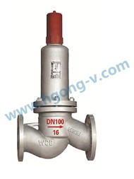 DIN cast steel parallel safety reflux valve